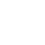 社交跟单